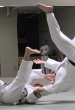 Judo: Martial Way or Modern Sport?