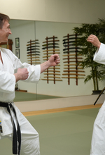 Wado Ryu Karate-do