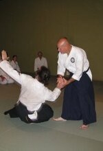 Identifying Characteristics of Nihon Jujutsu