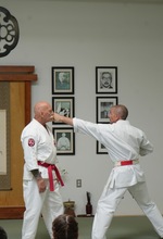 Unified Movement Across Disciplines: A Shared Principle in Jutjutsu, Judo, and Iaido