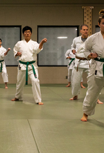 Kata Geiko and Seishin Tanren