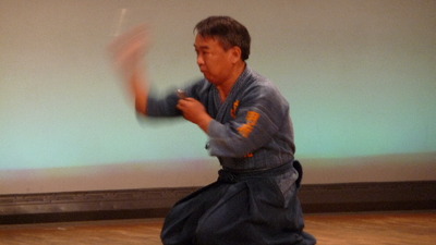 Otsuka Yasuyuki Soke | Soke (Headmaster) of Meifu-Shinkage Ryu