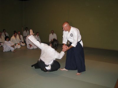 Identifying Characteristics of Nihon Jujutsu