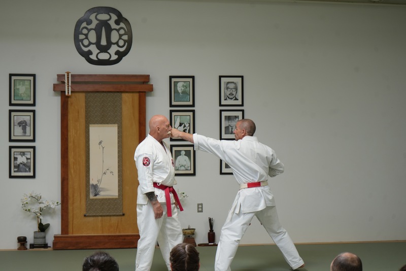 Unified Movement Across Disciplines: A Shared Principle in Jutjutsu, Judo, and Iaido