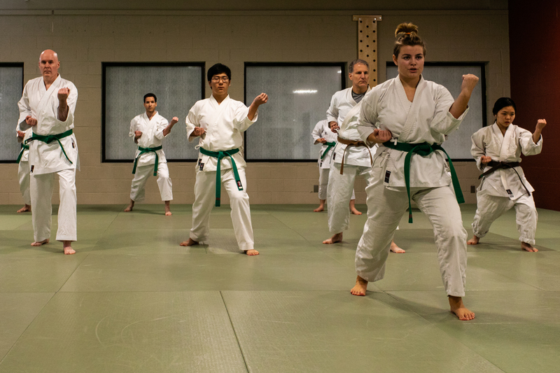 Kata Geiko and Seishin Tanren